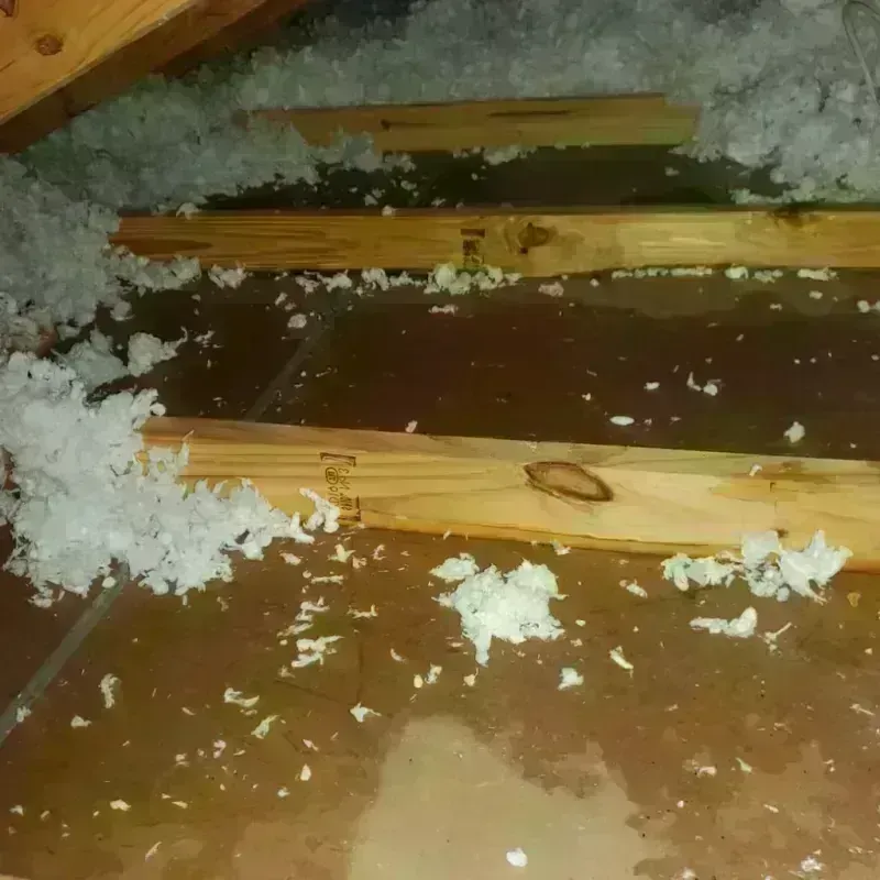 Attic Water Damage in Livingston, MT